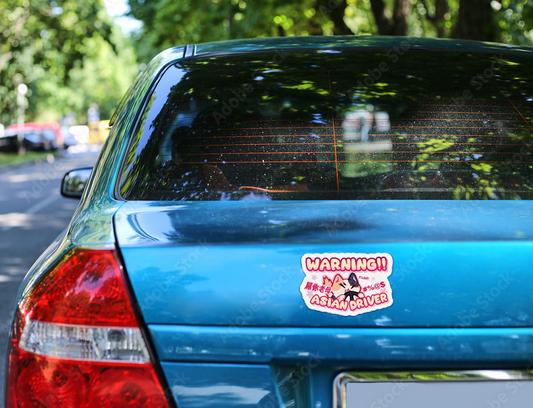 Custom Magnet — "Warning!! Asian Driver" Cute Cat Car Bumper Sticker Magnet